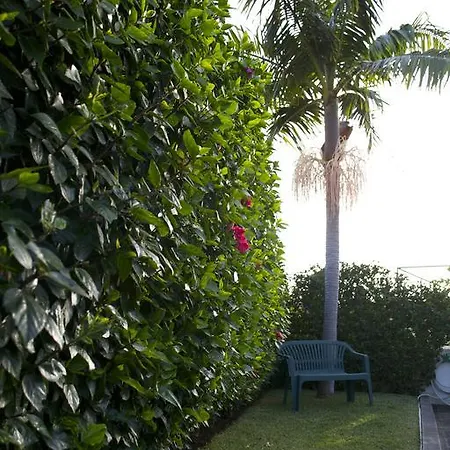 Maria Apartman Funchal