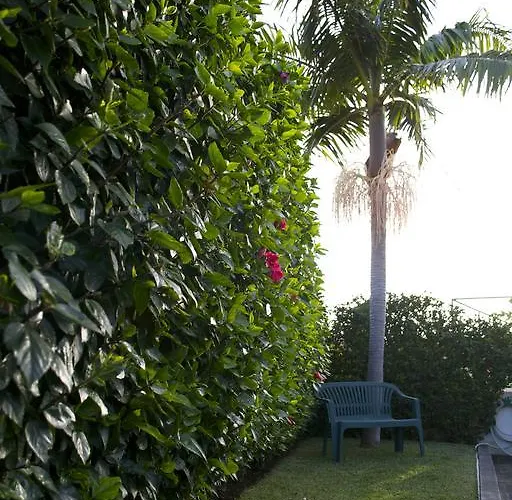 Maria Apartamento Funchal (Madeira)