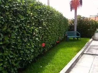 Apartamento Maria Funchal (Madeira)